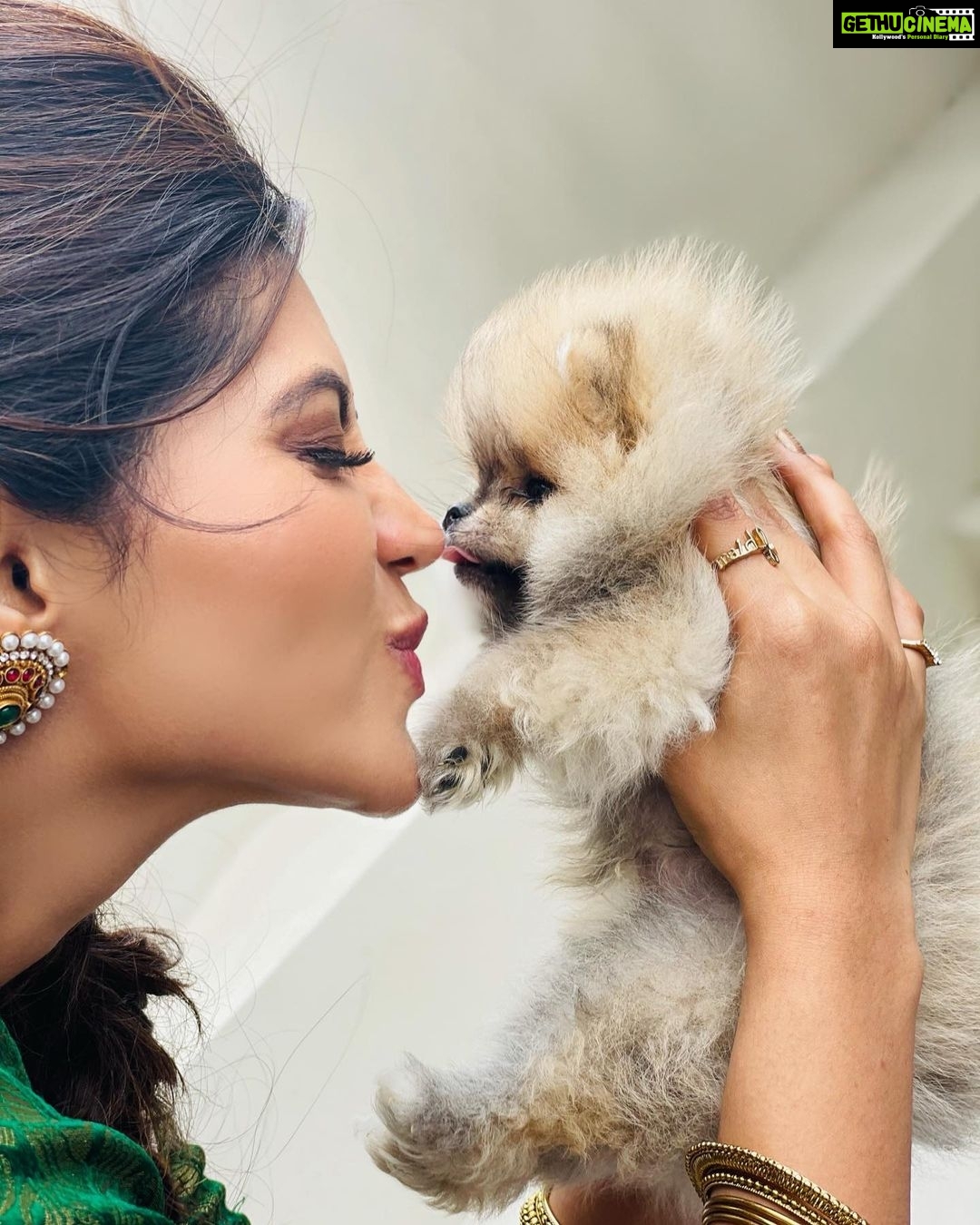 Athulya Ravi Instagram - Happiness depends upon ourselves 😍 my happiness @brucetheboss21 ❤️ ! #teacuppuppies Jwelry @ethereal_jewellery_