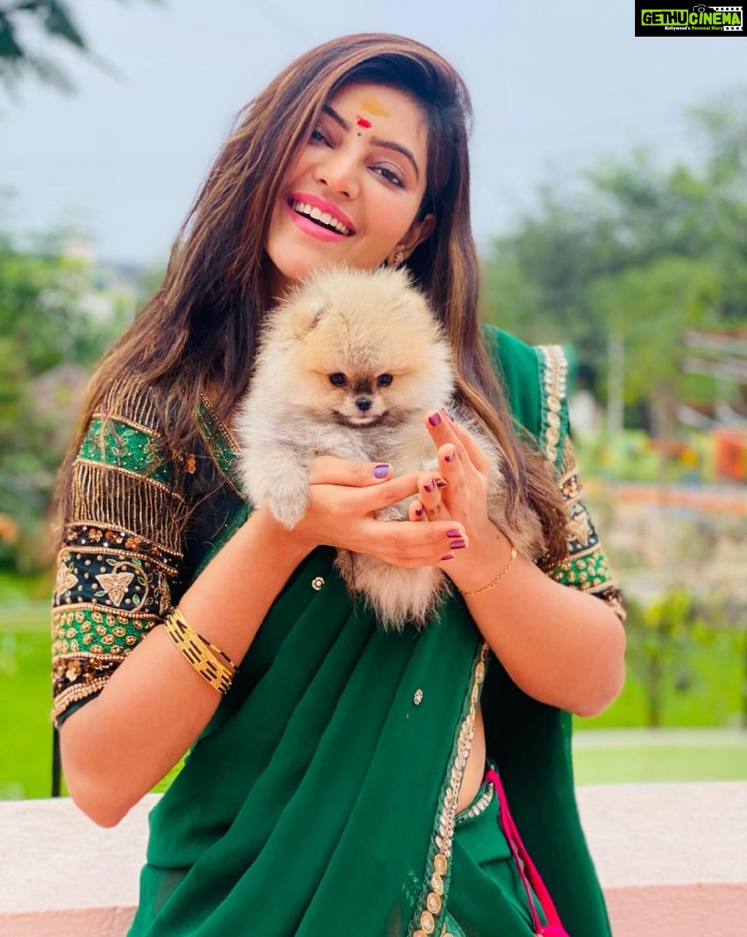 Athulya Ravi Instagram - Introducing my new world on this special day #valentinesday ! The love for my new puppy is fur real ! Here is #bruce #teacup #teacuppuppies #myvalentine❤️ Little pup,big world 💃 Half saree @_nethiri_ !