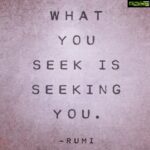 Ayesha Takia Instagram - #Rumi 🙏🏻🖤💜