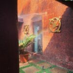 Ayesha Takia Instagram - #BasilicoHouse ❤️