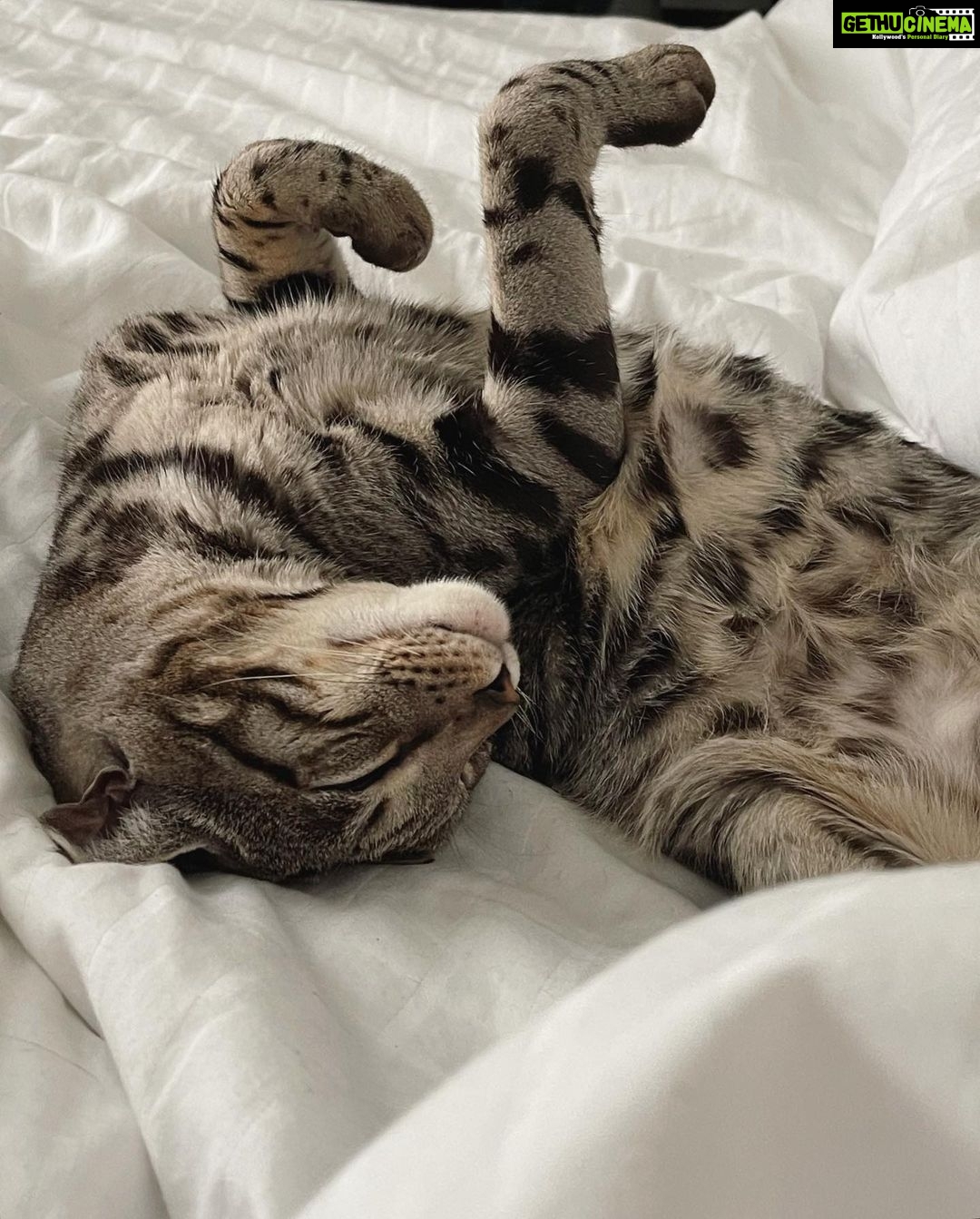 Banita Sandhu Instagram - & i love u more than my life πΊπ½πΆ London, United Kingdom