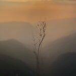 Chandini Chowdary Instagram - Focus.