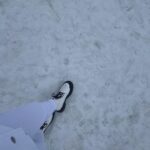 Chandrika Ravi Instagram - Winter wonderland Whistler Village, Whistler