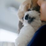 Daisy Shah Instagram - Training your pup is tricky business, but we have the perfect mentor to train you for this race. With a variety of products and range of treats Pedigree puppy corner is here to give you the #pawfectstart as a dog parent. Check on the link below to avail your free sample Pedigree starter kit, now! https://www.pedigree.in/puppy-corner/ @Pedigree_India #PedigreeIndia #FeedTheGood #ThePuppyCorner #ThePawfectStart