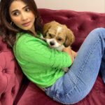 Daisy Shah Instagram - Newest staff member on set today Job Assigned: Provide kisses n cuddles! 🐶😘❤️ . . . #livelovelaugh #dogmom #theoshahofficial #daisyshah