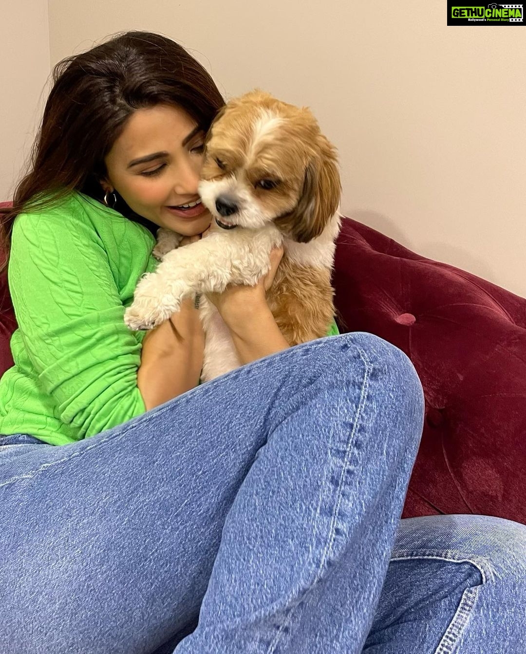 Daisy Shah Instagram - Newest staff member on set today Job Assigned: Provide kisses n cuddles! πΆπβ€οΈ . . . #livelovelaugh #dogmom #theoshahofficial #daisyshah