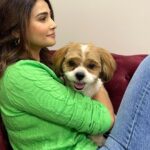 Daisy Shah Instagram – Newest staff member on set today 
Job Assigned: Provide kisses n cuddles! 
🐶😘❤️
.
.
.
#livelovelaugh #dogmom #theoshahofficial #daisyshah