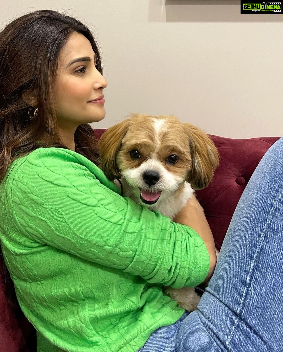 Daisy Shah Instagram - Newest staff member on set today Job Assigned: Provide kisses n cuddles! πΆπβ€οΈ . . . #livelovelaugh #dogmom #theoshahofficial #daisyshah