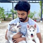Dhanush Instagram - Welcome to the family #King and #Kong ❤❤❤❤❤ looking forward to all the new adventures together .. #unconditionallove