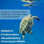 Dia Mirza Instagram - The 3rd of March marks #WorldWildlifeDay – the biggest global annual event dedicated to our planet’s wildlife. This year’s theme for World Wildlife Day is “Life below water: for people and planet". I have partnered with the Wild for Life and Clean Seas campaigns, run by the United Nations Environment Programme, and I’d love to tell you a little bit about the threats our oceans and the animals within them face, and how you can help me address them: I’m sure you’ve consciously or unconsciously been confronted with many of the issues threatening our oceans today. You may have seen news about melting ice caps and rising sea levels on TV or heard about major oil spills and overfishing threatening marine animals; or seen pictures of sea turtles choking on plastic on social media; or maybe you’ve heard about coral reefs dying globally due to the effects of climate change. All these problems and many more are pushing our oceans’ ecosystems to the brink of collapse. Without healthy oceans, humans cannot survive. Over half the oxygen we breathe comes from the oceans. They regulate the climate and make our planet inhabitable for humans and are key in our fight against climate change. Oceans are also home to around two billion species and around three billion people are dependent on the oceans for food. I am therefore calling on you to help me and UN Environment in our efforts to protect them. Together we can turn the tide for our oceans. #LifeBelowWater #CleanSeas #WildForLife #BeatPlasticPollution Mumbai, Maharashtra
