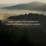 Dia Mirza Instagram - Learn, love and protect our #NationalHeritage! Who better to help us do this? @amoghavarsha ‘Wild Karnataka’ - India's first natural history film made by a world class team of Indian filmmakers and narrated by Sir David Attenborough. #WildKarnataka #WildForLife #WildIndia #BetterWithForests