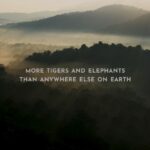 Dia Mirza Instagram – Learn, love and protect our #NationalHeritage! Who better to help us do this? @amoghavarsha ‘Wild Karnataka’ – India’s first natural history film made by a world class team of Indian filmmakers and narrated by Sir David Attenborough. #WildKarnataka #WildForLife #WildIndia #BetterWithForests