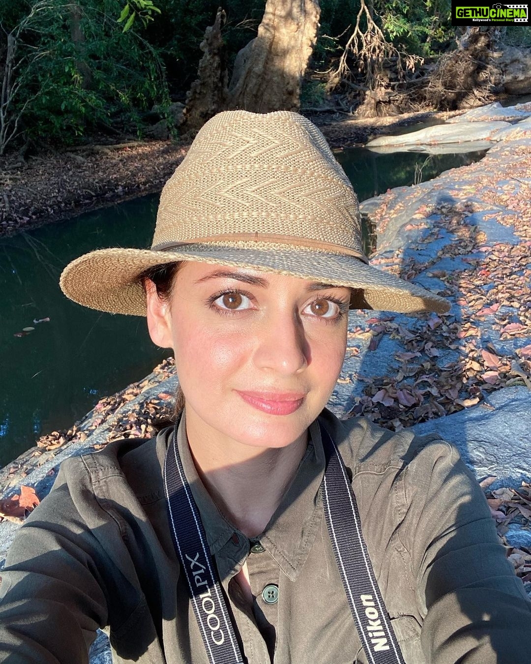 Dia Mirza Instagram - I woke up today missing the forest 💚 hope i can visit one soon. Can’t wait to take the kids back into the wild🐯🌏 India