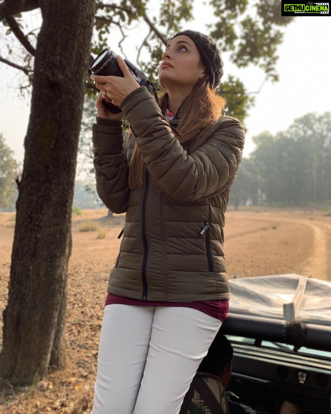 Dia Mirza Instagram - Nature makes us whole. It repairs all the damage caused by the concrete world built on ego and exaggeration. Set yourself free from the shackles of ‘narrow domestic walls’. Go back to nature and just breathe 💚🌏 I hope this will help you find what it means to be whole, fulfilled and complete by being in communion with nature. Honestly, i want everyone, everywhere to discover this love, this wonder, this peace. Nature truly heals in the most miraculous ways. And while i share about nature it’s important also to share with you the great sacrifices our brave #Vanrakshaks make as they patrol and protect our forests on foot. They are the true protectors of our health and well being. Do tap the link in my bio and see if you’d like to help the families of our #ConservationHeroes martyred in the second deadly wave of #Covid 🙏🏻 #OneWorld #OnePeople #OneHome #IAmNature #TuesdayThoughts #TrueLove #Throwback #ClimateAction India