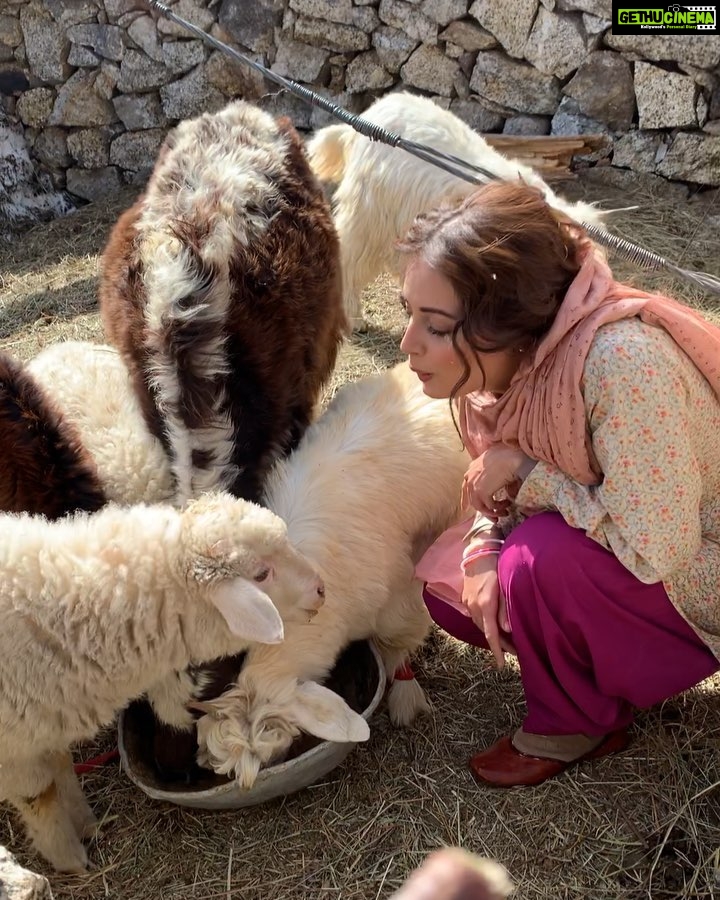 Dia Mirza Instagram - The good life. The simple life. #BTS #Kaafir #Zee5Originals Sangla, Himachal Pradesh, India