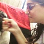 Dipika Kakar Instagram - Where there is love there are fights😜😂 #mycuddlebug #loveofmylife❤🐶