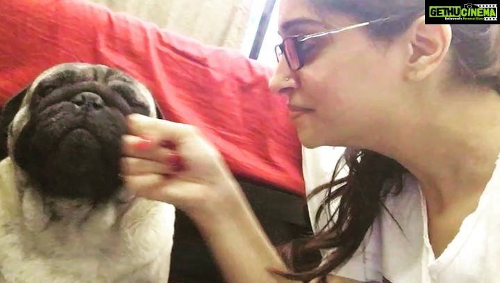 Dipika Kakar Instagram - Where there is love there are fights😜😂 #mycuddlebug #loveofmylife❤🐶