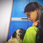 Dipika Kakar Instagram - The stare we share when hunger strikes 😅😜 #onshoot #puglife #hungrybaby