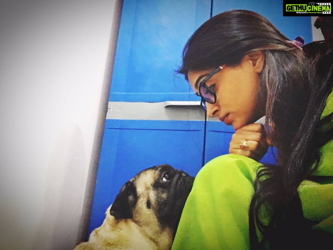 Dipika Kakar Instagram - The stare we share when hunger strikes 😅😜 #onshoot #puglife #hungrybaby