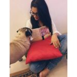 Dipika Kakar Instagram – He looks so adorable when he tries to seek attention feeling all insecure when I give my time to books and not to him😋😍 #attentionseeker #pugsofinstagram #mylove