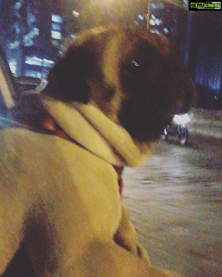 Dipika Kakar Instagram - Cuddle enjoying his drive back home 😘😘😘😘😘😘