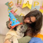 Dipika Kakar Instagram - I Loveeeeeee Him..... he hates me troubling him... but i love that too 😜.... my most adorable baby.....cuddle’s birthday ❤️❤️❤️ . . #petlove #pricelessbond #smillingpugs