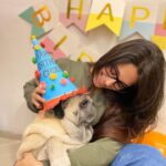 Dipika Kakar Instagram – I Loveeeeeee Him…..
he hates me troubling him… but i love that too 😜…. my most adorable baby…..cuddle’s birthday ❤️❤️❤️
.
.
#petlove #pricelessbond #smillingpugs