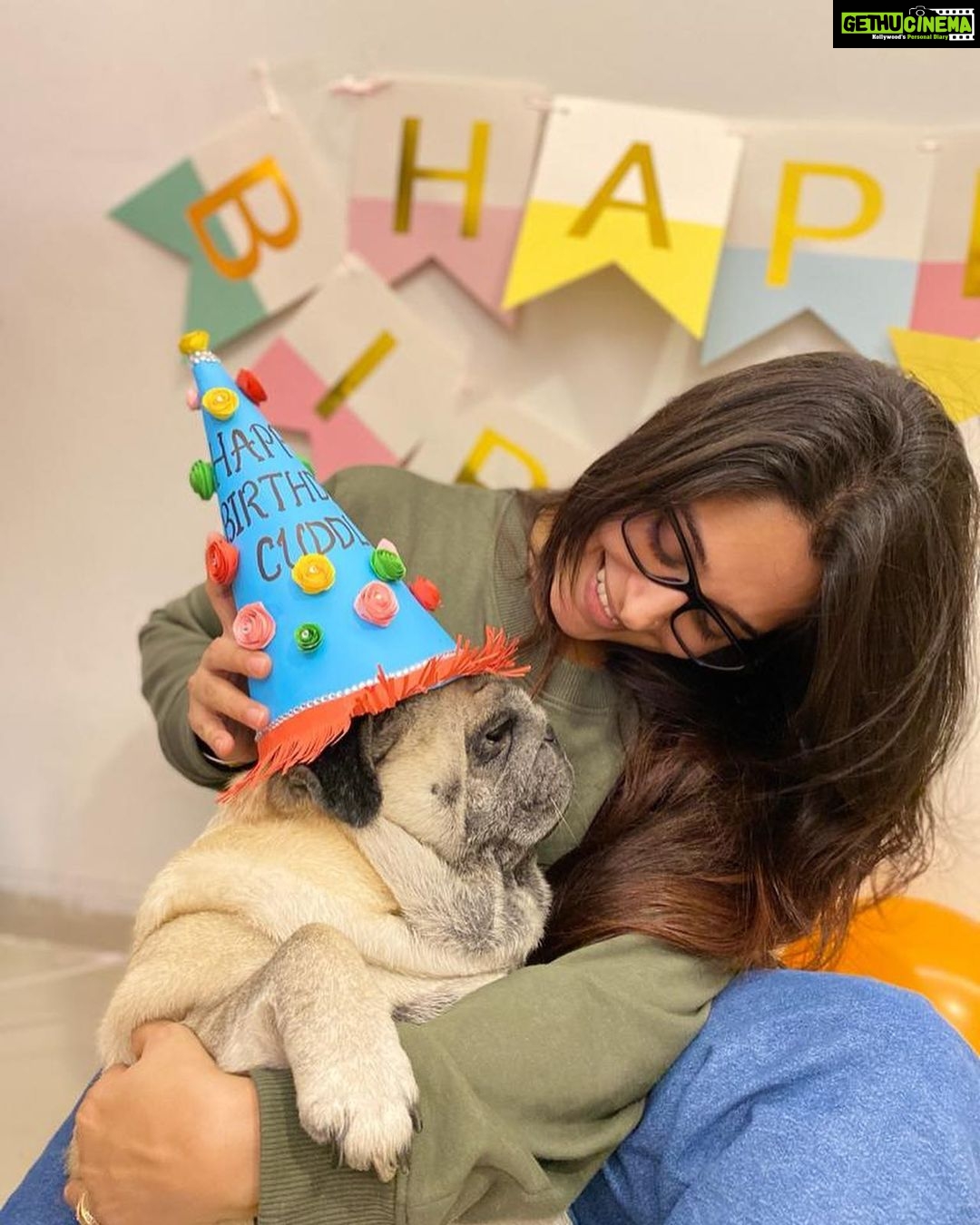 Dipika Kakar Instagram - I Loveeeeeee Him..... he hates me troubling him... but i love that too 😜.... my most adorable baby.....cuddle’s birthday ❤️❤️❤️ . . #petlove #pricelessbond #smillingpugs