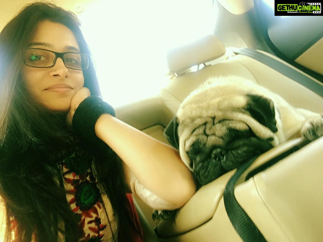 Dipika Kakar Instagram - The art of sleeping shud be learnt by Mr. Cuddleπππππ he can sleep anywher anytime all day thru ππππ
