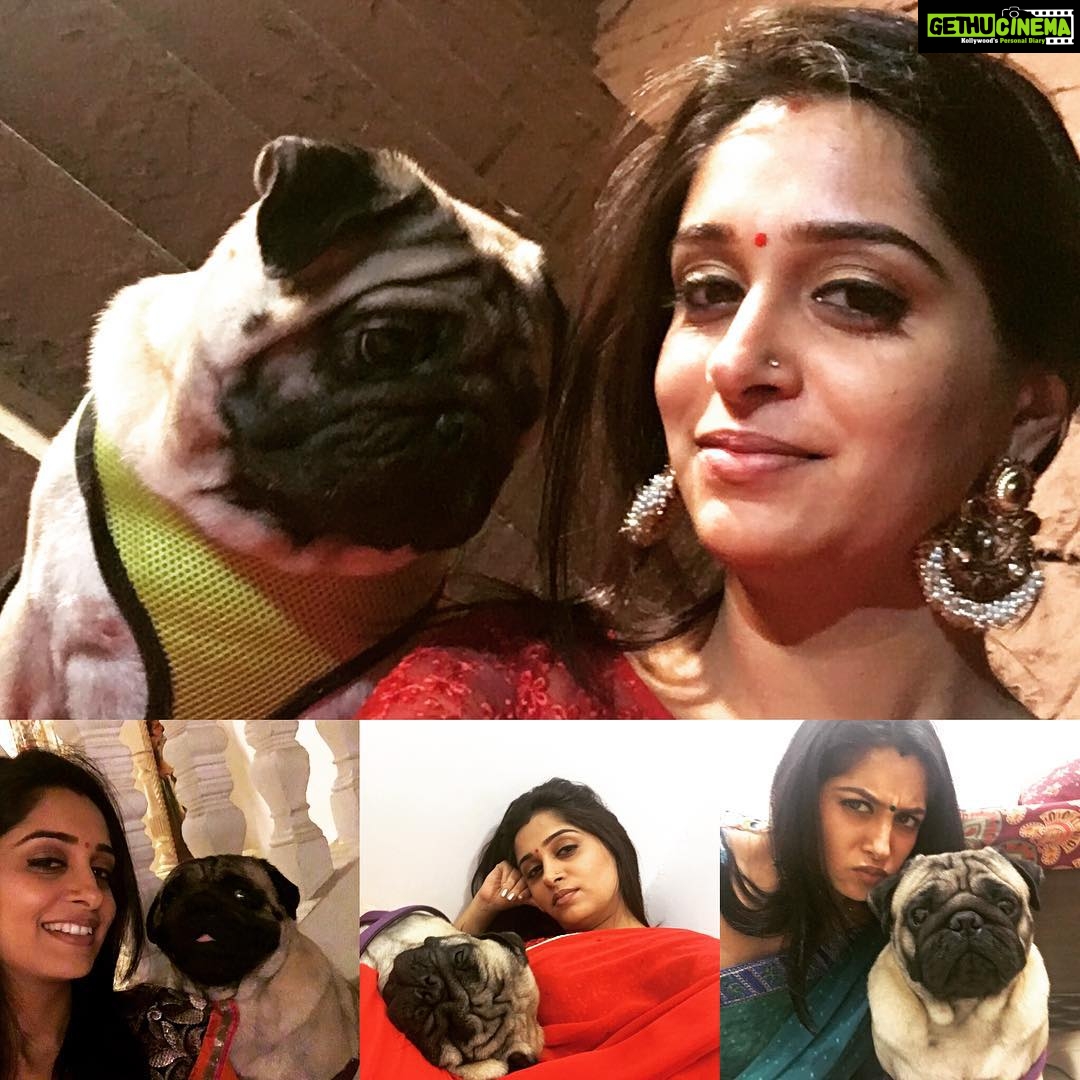 Dipika Kakar Instagram - Be it filmcity or my set or any other outdoor my little cuddle visits me everywher to give company..... Just loveeeeeeee him!!!! My little bunch of happiness!!!?