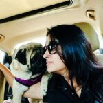 Dipika Kakar Instagram - Look whos coming with me to shoot... And hes so excited that he cant settle down for a bit in the car... Just jumping around....#mypet #cute #cuddle
