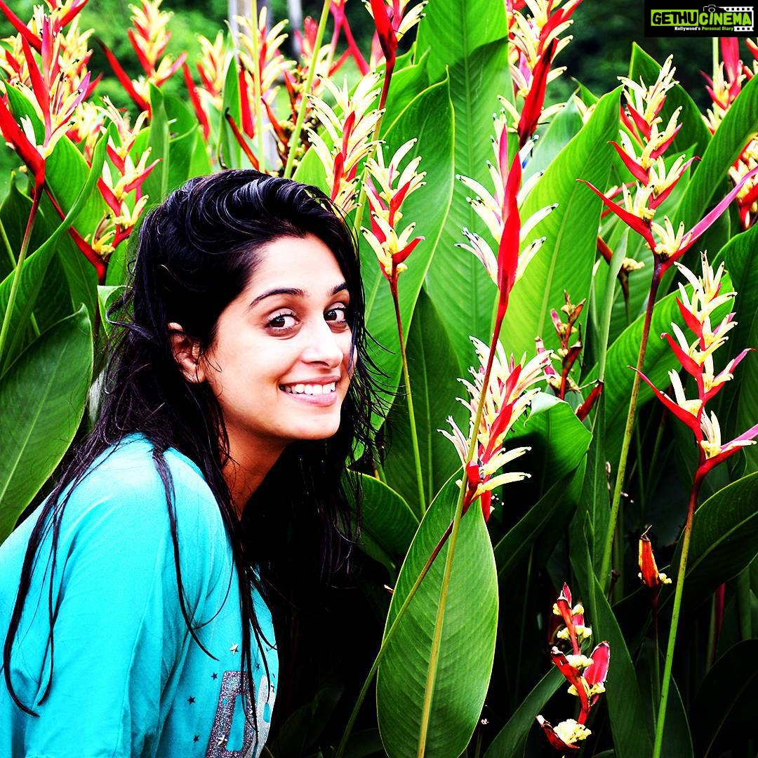 Dipika Kakar Instagram - I wish you all happiness 😊😊😊....