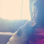 Dipika Kakar Instagram - My chotu cuddle accompanies me for my tea every morning... While I have my tea he demands his biscuits.... And agains sleeps of right next to me... Cant express the cutness n love in words.... 😘😘😘😘😘