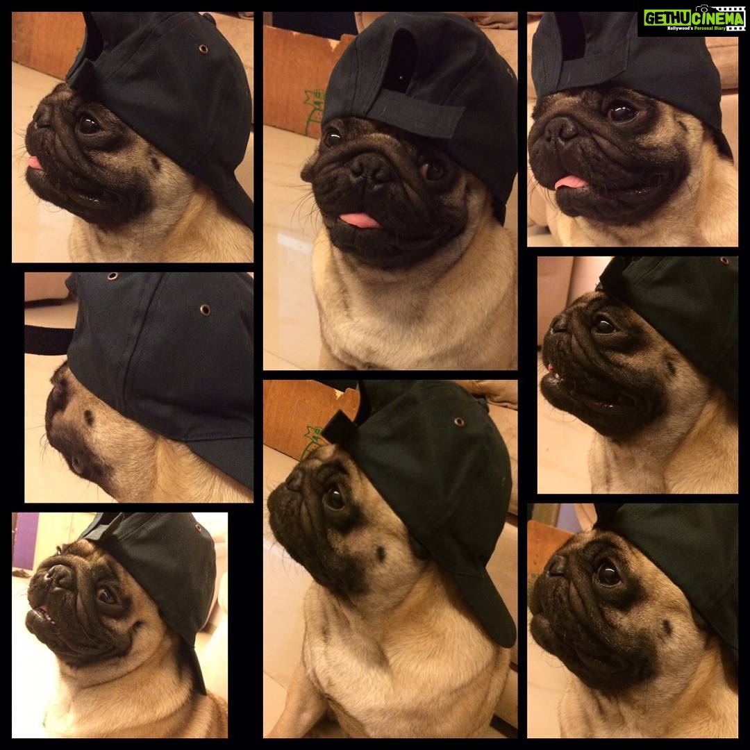 Dipika Kakar Instagram - Uffffff..... posing in a cap!!!! Thanks @sabaibrahim93 only can get these posses from him u r his fav photographer๐๐๐๐๐