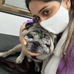 Dipika Kakar Instagram - I never knew this wud be my last pic with him. This was just daybefore wen i took him to the vet. He had come Out from the Xray room to I was giving him a warm hug ki wo ghabraaye na… He wasnt keeping well from the last 1 year. in the last 2-3 days the condition was difficult. & yesterday was critical. He faught a lot & gave up at 3 this morning. He passed away 💔