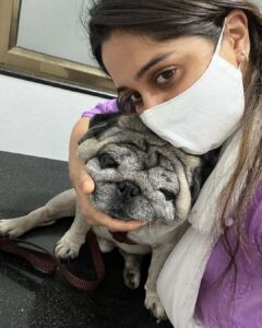 Dipika Kakar Instagram - I never knew this wud be my last pic with him. This was just daybefore wen i took him to the vet. He had come Out from the Xray room to I was giving him a warm hug ki wo ghabraaye na… He wasnt keeping well from the last 1 year. in the last 2-3 days the condition was difficult. & yesterday was critical. He faught a lot & gave up at 3 this morning. He passed away 💔