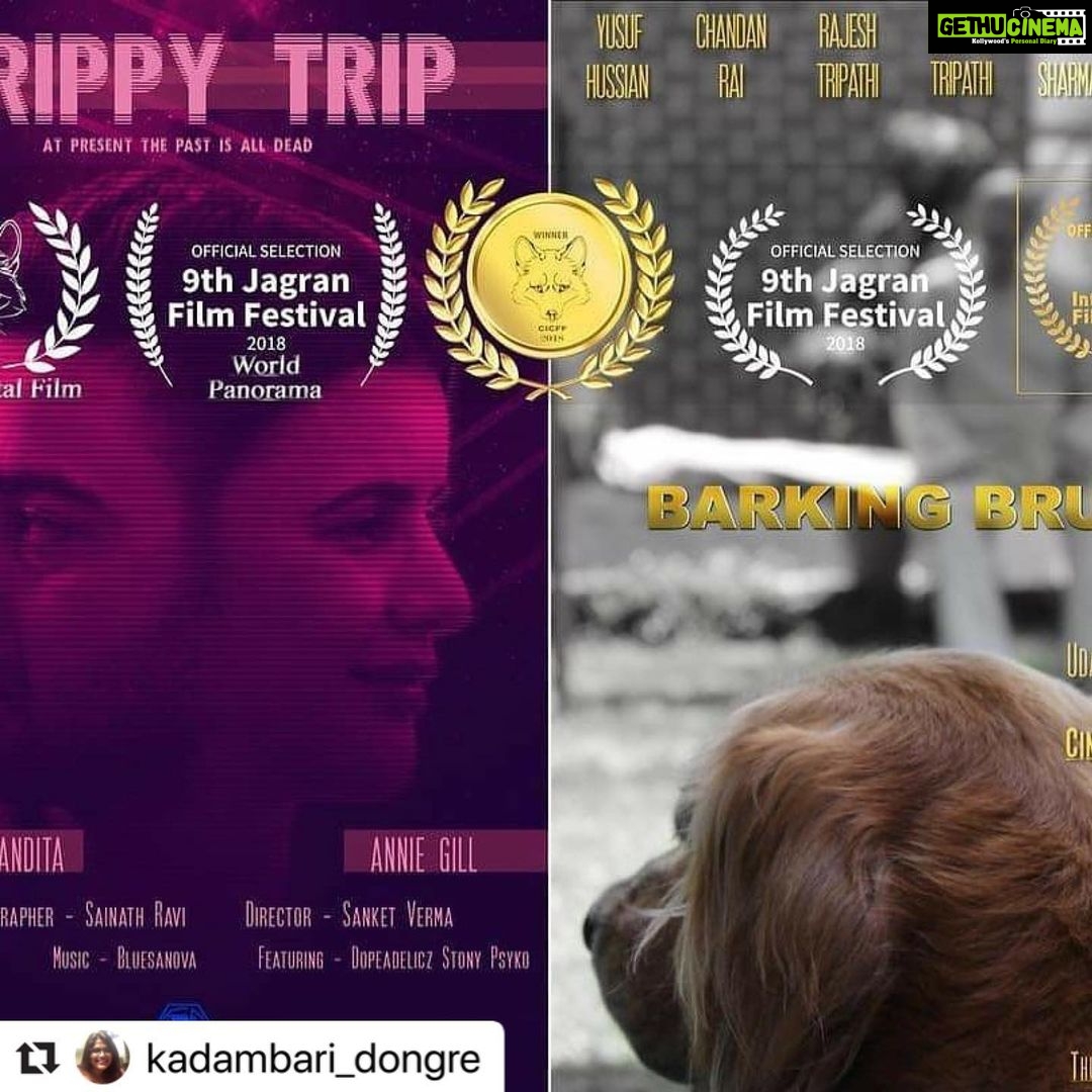 Dipika Kakar Instagram - Congratulations!!!! ye to bas shuruwaat hai @kadambari_dongre ❤️❤️❤️🤗🤗🤗 #Repost @kadambari_dongre with @make_repost ・・・ One step at a time!!! That feeling when your work reaches the streaming platform... Blessed are we to have support from the all the loved ones!!! And a big thank you for all your blessings 🙏🙏🙏🙏 "Trippy Trip" and "Barking Bruno" is now streaming on MxPlayer. Link 👇 https://www.mxplayer.in/movie/watch-trippy-trip-movie-online-f64ddcfb0fa20221335c97242bc6193e?utm_source=mx_android_share https://www.mxplayer.in/movie/watch-barking-bruno-movie-online-91d07ae808d2144f660b9d2635011369 #barkingbruno #trippytrip #dreamscomingtrue #waytosuccess #roadtohappiness #gratitude