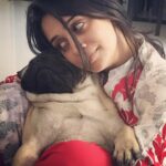 Dipika Kakar Instagram - Yayyy its Cuddle’s birthday.. 🎈 lets wish him a very happy birthday and a long life.. 🤗☺️