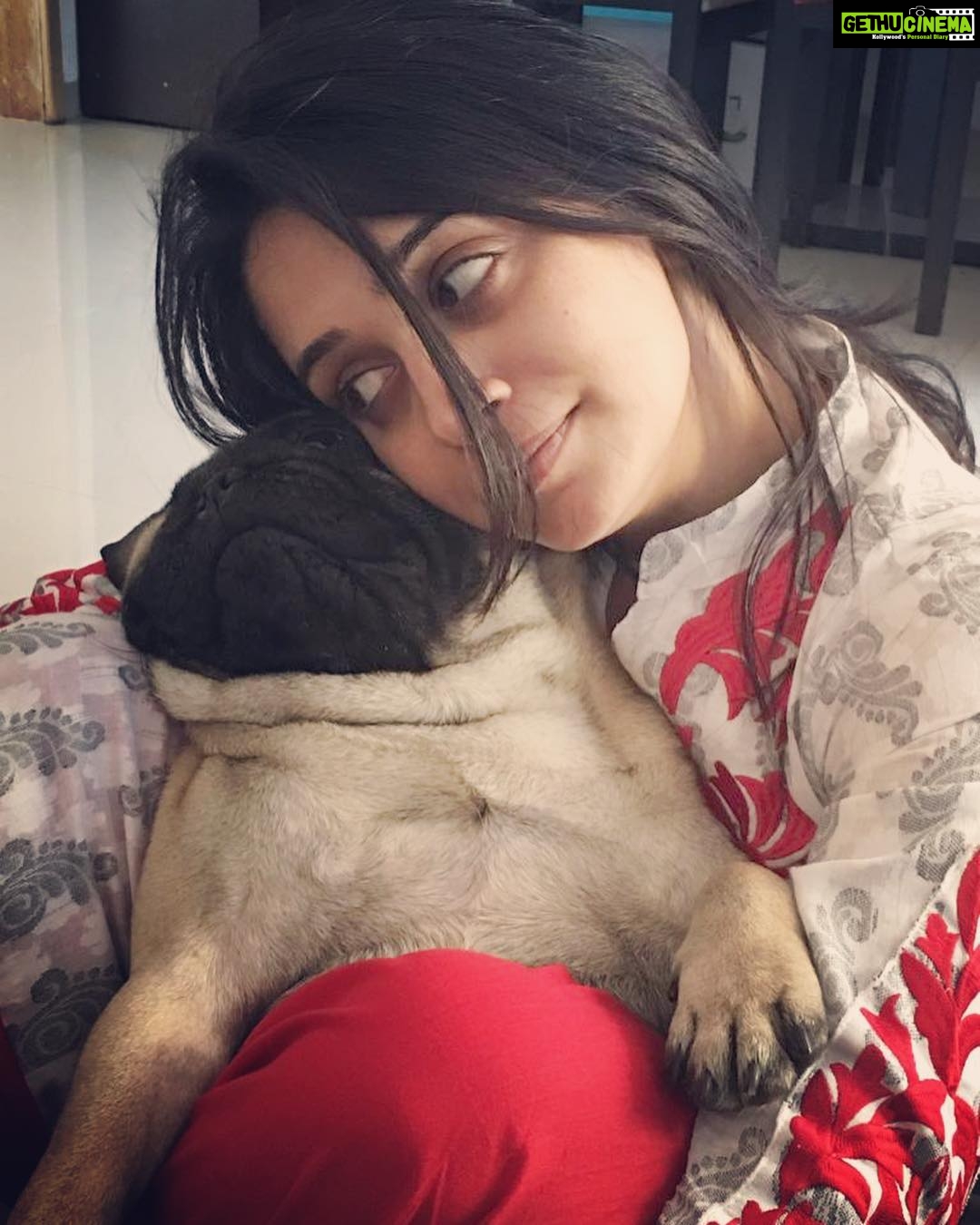 Dipika Kakar Instagram - Yayyy its Cuddle’s birthday.. 🎈 lets wish him a very happy birthday and a long life.. 🤗☺️