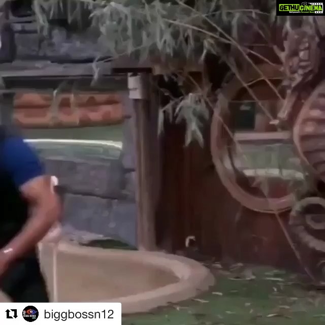 Dipika Kakar Instagram - βΊοΈπ€ #Repost @biggbossn12 with @get_repost γ»γ»γ» Part 2 after 10k views :) I don't know why a few people still find their friendship fake! Maybe they're the blind bhakts and I wanna ask them if this is fake, then what's real? π A lovely moment from Day 66 π Follow @biggbossn12 & Never Miss An Update , Exclusive News & Leaks About BB12. β€οΈ . Β© COPYRIGHT DISCLAIMER - β All The Credit & COPYRIGHT of News , Media , Photo , Video reserved and served to - @colorstv , @endemolshineind @voot @rajcheerfull & Entire Team of Bigg Boss & Suitable Owner . #dipikakakar #dipikakakaribrahimin #shoaibibrahim #shoaibdipika #wesupportdipikakakaribrahim #karanvirbohra #nehhapendse #SrishtyRode #somikhan #sabakhan #jasleenmatharu #anupjalota #deepakthakur #urvashivani #roshmibanik #kritiverma #biggboss12 #follow4follow #follow4followback #like4like #likeforlike #salmankhan #chetnapande #rohitsuchanti
