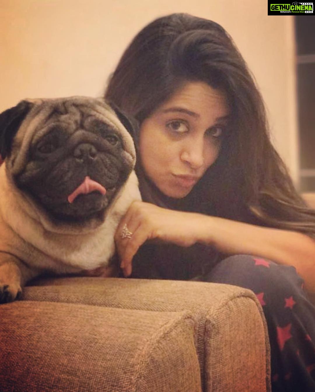 Dipika Kakar Instagram - Yayyy its Cuddle’s birthday.. 🎈 lets wish him a very happy birthday and a long life.. 🤗☺️