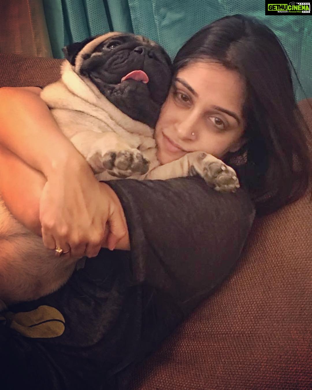 Dipika Kakar Instagram - Yayyy its Cuddle’s birthday.. 🎈 lets wish him a very happy birthday and a long life.. 🤗☺️