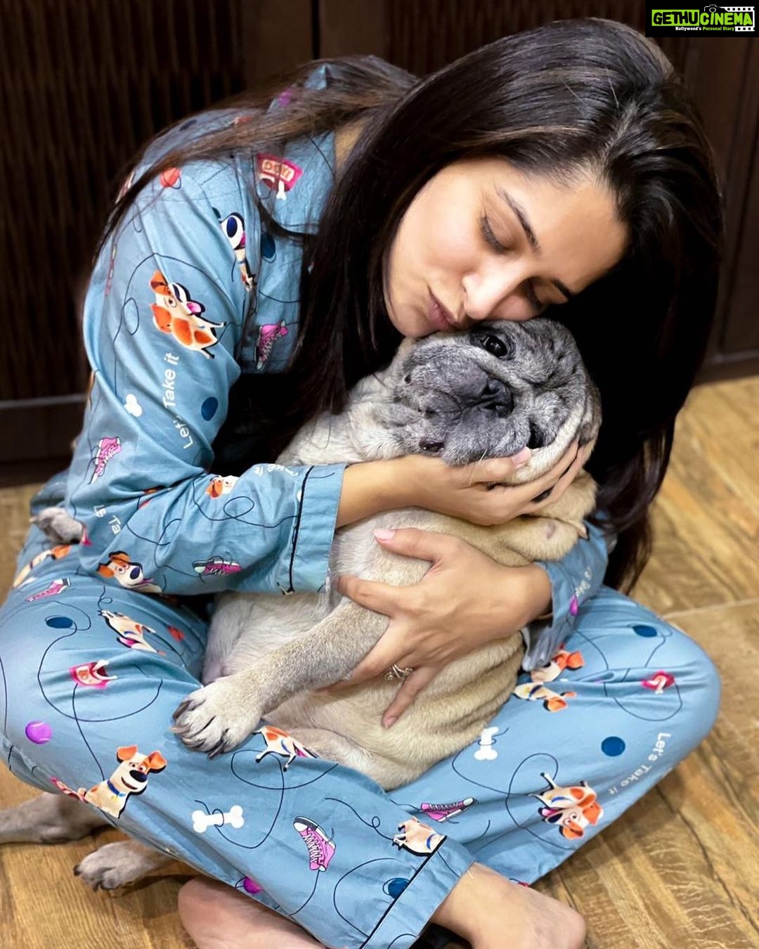 Dipika Kakar Instagram - Cuddling moments with my Cuddle ❤️