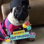 Dipika Kakar Instagram – Its a HAP HAP HAPPYY BIRTHDAY!!! A HAP HAPPY BIRTHDAY TO YOU 😙😙😙😙🎵🎶🎶🎶