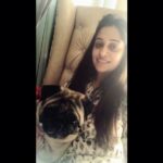 Dipika Kakar Instagram - Cuddle has a ‘very quick’ message for you all! 😋 #PetStories #InAMajorHurry