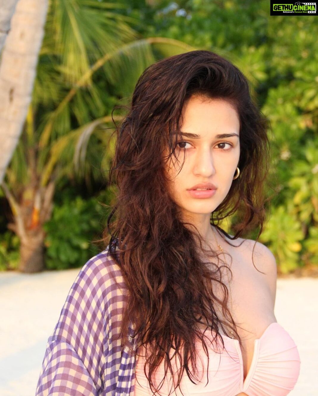 Disha Patani Instagram - 🐰