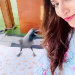 Divyanka Tripathi Instagram – Watch- कौवे का हमला… सिर्फ़ यहाँ, और कहाँ? 🥴🦅
@vivekdahiya your song is perfect for this veryyyy curious crow! #MainKamina 😈😄

(PS one should have been scared maybe🤷🏻‍♀️, but I was rather excited to have captured this hilarious bird activity 🤩)
#CuriousBird