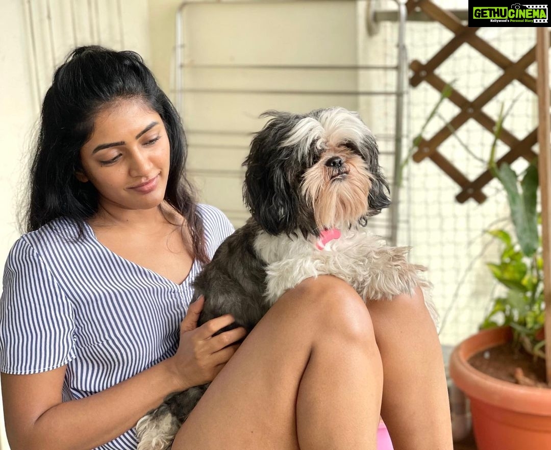 Eesha Rebba Instagram - Mumma’s boy🐶🐾❤️ #chinnu