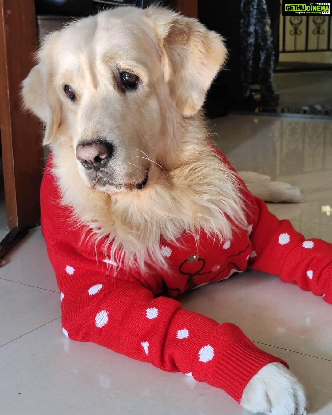 Erica Fernandes Instagram - My little boy in my sweater.. Just slaying it all the way .