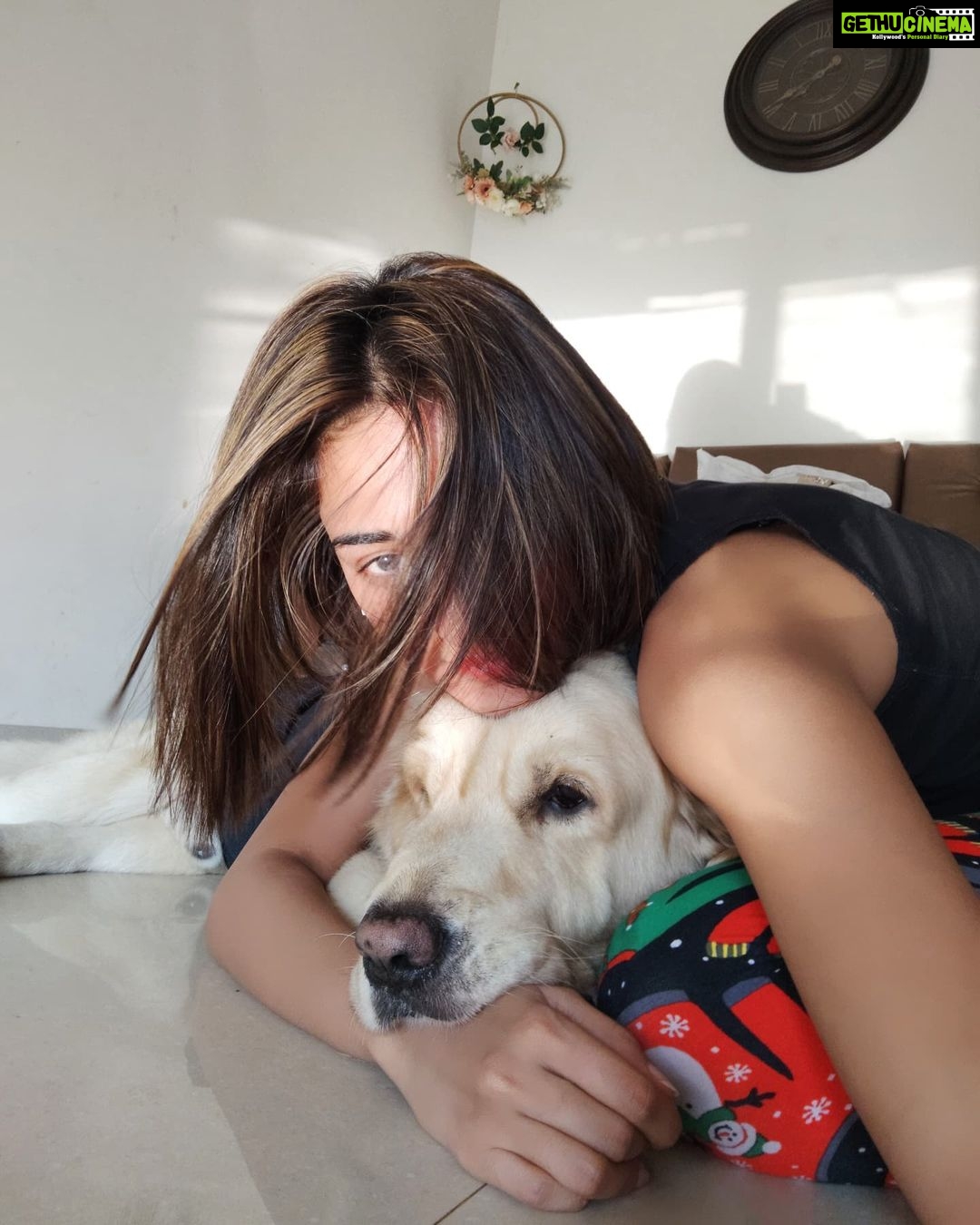 Erica Fernandes Instagram - Just posting to say Hi ππ» Been meaning to post for a very long time but since I returned, there have been a lot of things I had to handle and mostly single-handed have to tackle these things.. Cleaning and decorating the house for the most favorite and special time of the year has been my priority and hence I have had no time to post but here is Champy and Me saying Hi, we are good and will be back on sns with a lot of posts. Home Sweet Home
